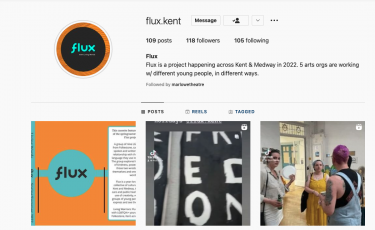 Screenshot of Flux instagram